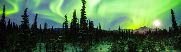Delta is offering Alaskan residents extra benefits