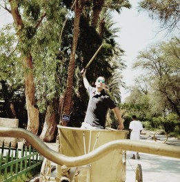 a man in a cart holding a stick