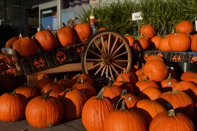 a group of pumpkins on a cart