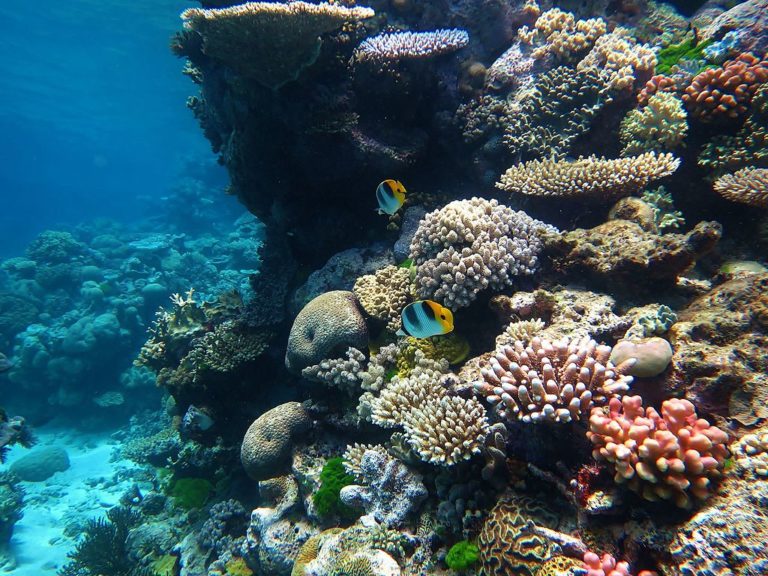 Viacom/Nickelodeon Plans World’s First Underwater Resort