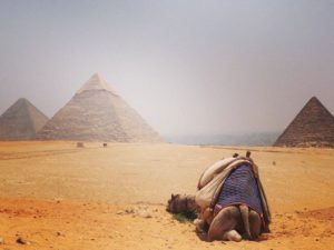 Visa Cost For Travelers Visiting Egypt