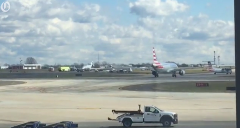 American Airlines Plane Collides With Deer