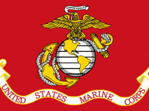 U.S. Marines Subdue Hostile Passenger